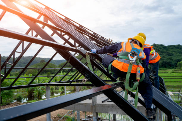 Best Roof Maintenance Services  in Steele Creek, AK