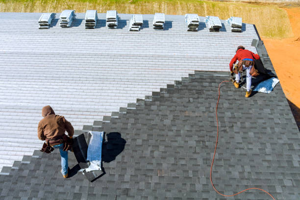 Best Metal Roofing Contractor  in Steele Creek, AK