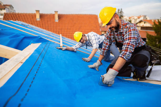 Best Roof Waterproofing Services  in Steele Creek, AK
