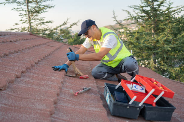Best Flat Roof Repair Services  in Steele Creek, AK