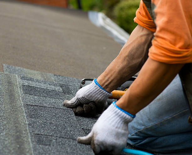Best Roof Gutter Cleaning  in Steele Creek, AK