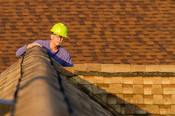 Best Roof Repair Services  in Steele Creek, AK