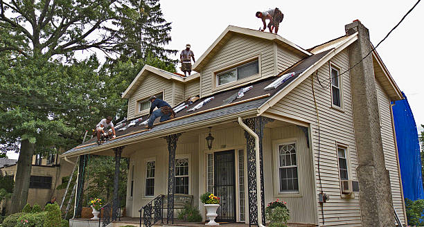 Roof Gutter Cleaning in Steele Creek, AK